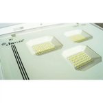 PROYECTOR LED ANTIVANDÁLICO 150W IP66 IK08 - Imagen 4